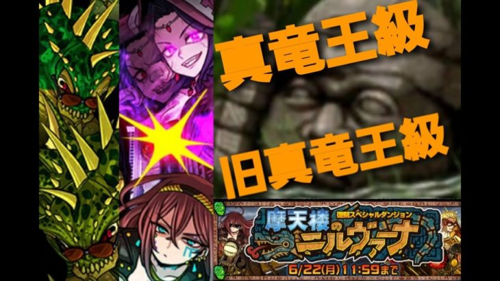 【ドラポ】 復刻スペダン 摩天楼のニルヴァーナ 旧、真竜王級 【ドラゴンポーカー】