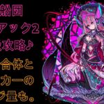 【ドラゴンポーカー】高速周回可能な星座船団ゾディアック2竜王級攻略♪