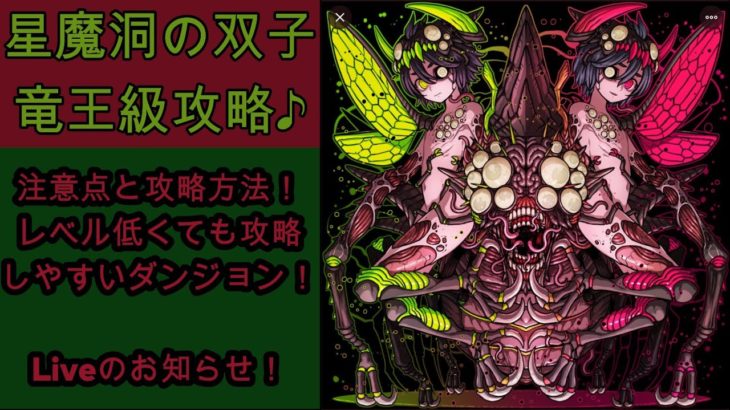 【ドラゴンポーカー】注意点と攻略方法！星魔洞の双子竜王級攻略！