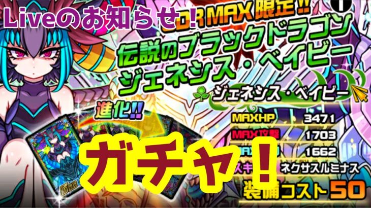 久々ガチャる！Liveのお知らせ！【ドラゴンポーカー】