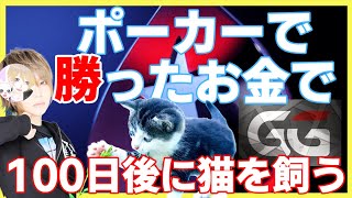 【ポーカー】あと３０人で２００万円【50RC　ポーカーチェイス