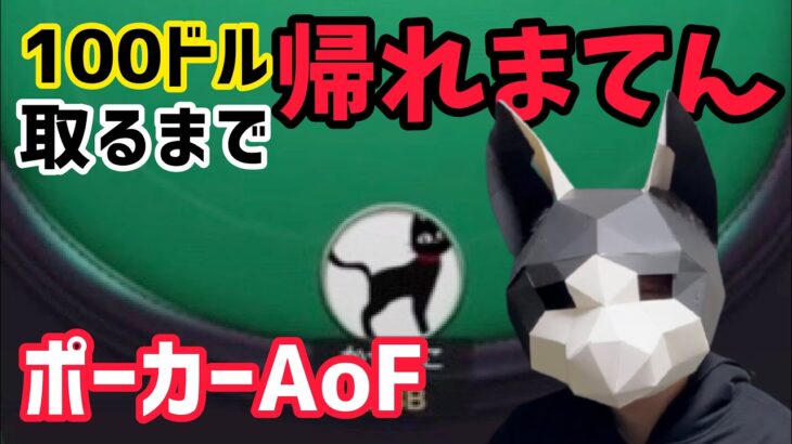【ポーカー AoF】ボードを応援する猫