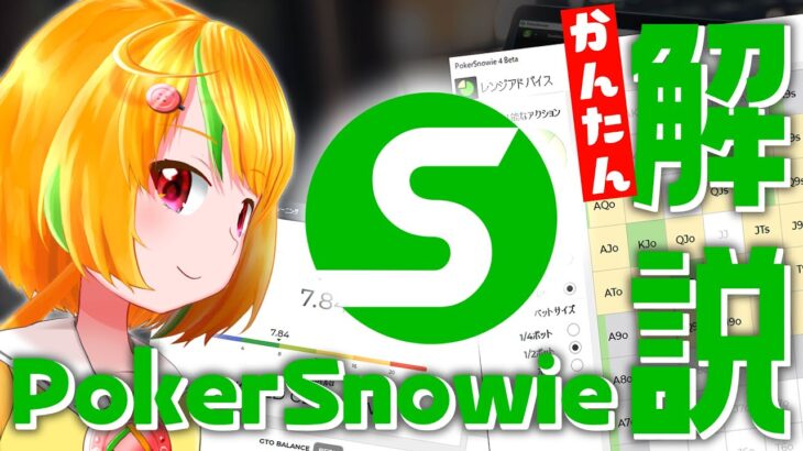【ポーカーツール紹介】Snowieの便利な使い方を解説！【ポーカー】