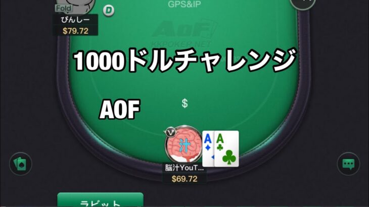 脳汁AOFで1000ドルチャレンジかましていく〜【kkポーカー】