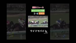 チューリップ賞【阪神11レース】#チューリップ賞 #競馬 #地方競馬 #ギャンブル #shorts #さかなび