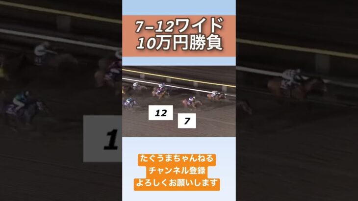 《地方競馬ワイド1点10万円勝負》#競馬