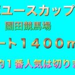 兵庫ユースカップ2022 地方競馬　重賞　園田競馬場　競馬予想