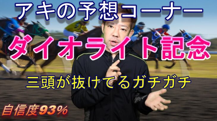 地方競馬予想 南関競馬予想【ダイオライト記念2022年】ガチガチのガチガチのはず【アキの予想コーナー】