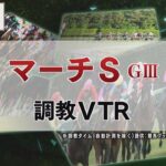 【調教動画】2022年 マーチステークス｜JRA公式