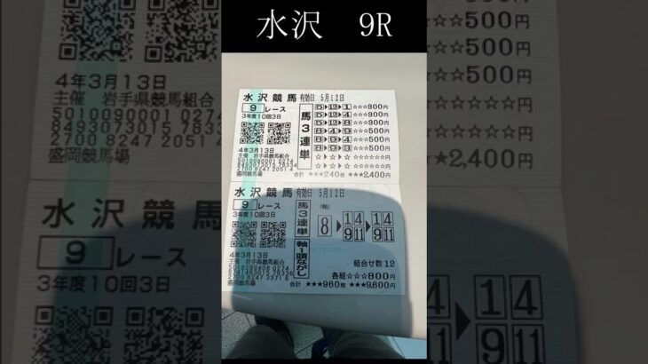 【2022年3月13日】地方競馬　水沢競馬9レース