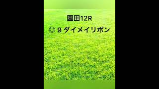 2022年3月15日(火) 地方競馬予想集