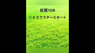 2022年3月19日(土) 地方競馬予想集