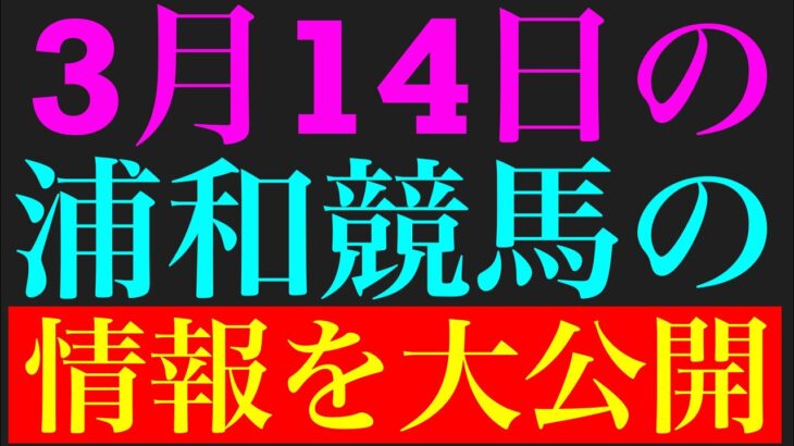 3月14日の地方競馬情報！！