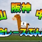 【競馬ライブ】JRA全レース生配信！！日経賞！！毎日杯！！