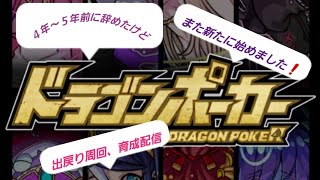 朝活❗【ドラゴンポーカー】【live】１からまた始めた、スキル育成、雑談配信