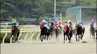 【ダービー馬主】元無職の地方競馬【そして伝説へ】