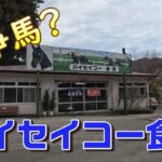 【地方競馬の怪物⁉】鬼怒川のハイセイコー食堂へ行く