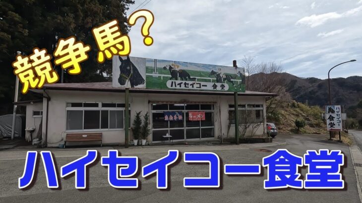 【地方競馬の怪物⁉】鬼怒川のハイセイコー食堂へ行く