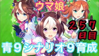 【ウマ娘＆ポーカーチェイス】青９シナリオ９育成【最高因子耐久配信２５７日目】