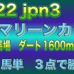 マリーンカップ2022 #競馬 #競馬予想 #地方競馬