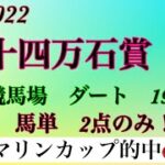 二十四万石賞2022 #地方競馬 #競馬予想 #競馬