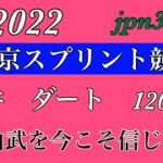 東京スプリント2022 #地方競馬 #競馬予想 #競馬