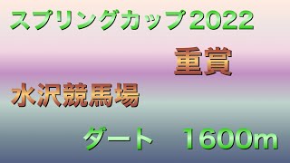 スプリングカップ2022 #競馬 #競馬予想 #地方競馬