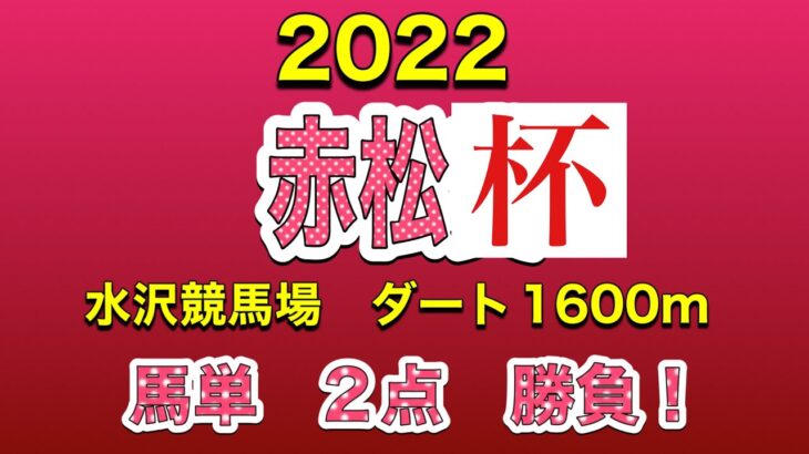 赤松杯2022 #地方競馬 #競馬予想 #競馬