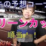 地方競馬予想 南関競馬予想【マリーンカップ2022年】順当だ！【アキの予想コーナー】