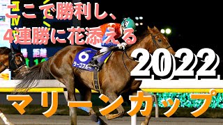 ここで勝利し、４連勝に花添えます【地方競馬】マリーンカップ2022　予想