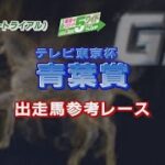 【参考レース】2022年 青葉賞｜JRA公式