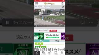 地方競馬今日も　3連単　万馬券取ったどー　ストマックさんありがとう😊