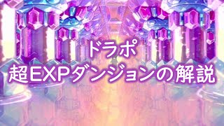 【棒読み音声】【ドラゴンポーカー・ドラポ】超EXPダンジョンの解説