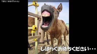 【ダービー馬主】元無職の地方競馬【そして伝説へ】