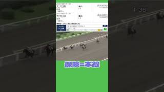 【地方競馬予想結果】堅いレースを見抜くために必要な事【大井競馬】