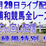 浦和競馬ライブ　メインレース緑風（りょくふう）特別