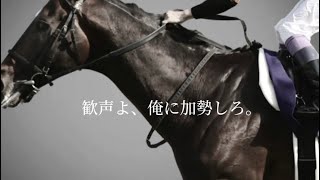キタサンブラック 天皇賞(春) 2017 JRA CM風