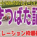 かきつばた記念2022 枠順確定後シミュレーション【競馬予想】地方競馬 ヘリオス ピンシャン イグナイター タガノビューティー ラプタス ワイドファラオ インペリシャブル カツゲキキトキト